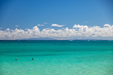 Enjoy the abundant nature the island of Oahu has to offer