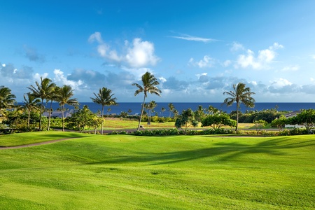 Stunning lanai view overlooking a lush green golf course and the ocean.