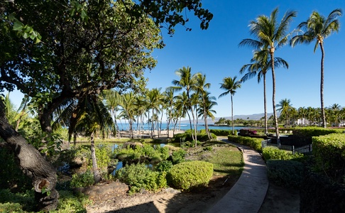 Stroll through beautifully landscaped pathways lined with palms and tropical gardens.