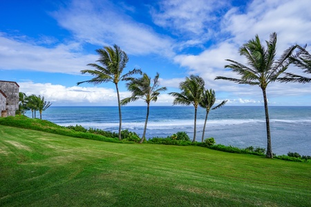 Relaxing views of the waves rolling in.