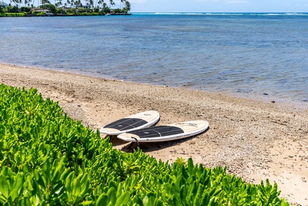Relax by the serene private beach, perfect for paddleboarding and enjoying the Pacific.