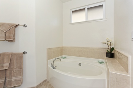 The primary guest bathroom with a luxurious soaking tub.