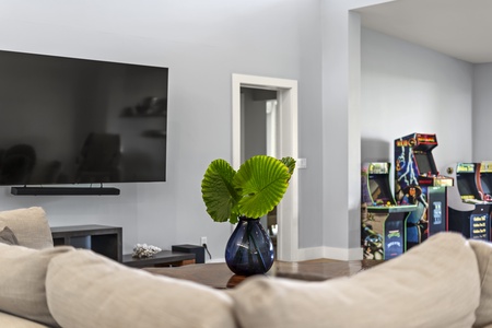 Minimalist living nook with greenery accents and smart media setup, blending calm with modern functionality.