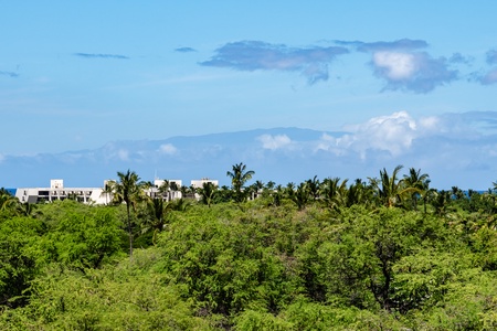 Beautiful view of lush greenery with distant mountains and blue skies.