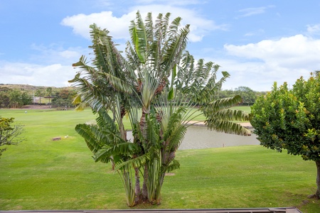 Stunning golf course view featuring tropical palms and manicured greens under bright blue skies.