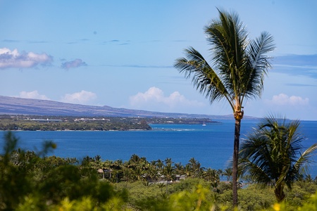Palm-framed ocean vistas that invite you to slow down and savor every island moment.