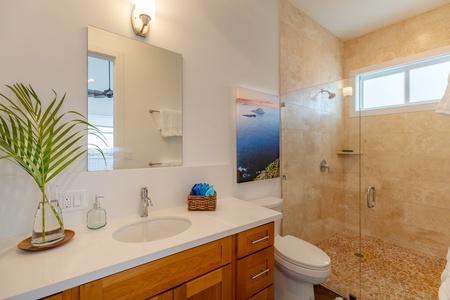 Ensuite bathroom in the studio suite with walk-in shower and modern touches for convenience.