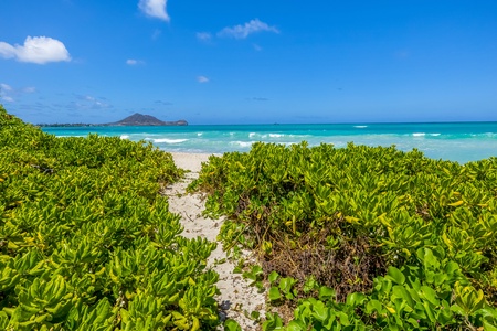 Beach path with turquoise blue beach views