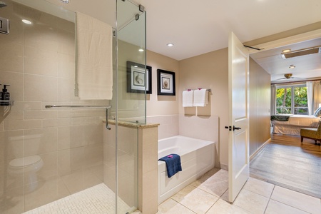 The walk-in shower and separate bathtub.