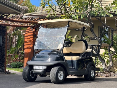 This rental includes one 4-seater golf cart for your use.