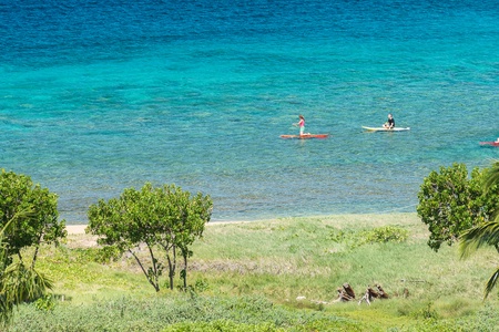 Lounge, paddle, or swim in the clear turquoise waters just beyond the resort—Hawai‘i’s natural beauty at your feet.