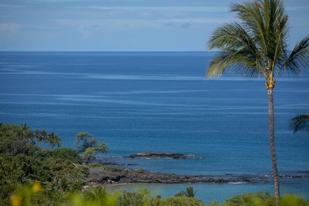 Sweeping ocean views with lush greenery, capturing the beauty of Hawaii’s coastline.