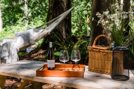 Unwind beneath the trees with a peaceful hammock retreat and outdoor picnic area, offering a private place to relax and reconnect with nature on the property's five scenic acres.