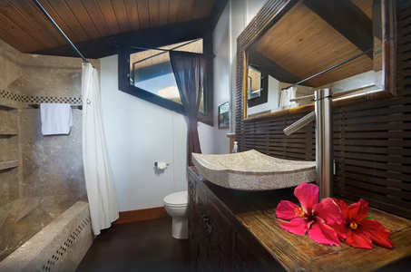 Stylish en-suite with vessel sink, granite vanity, and rainfall shower in the loft suite.