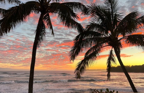 Stunning tropical sunset with palm trees silhouetted against vibrant coral and gold skies over gentle ocean waves.