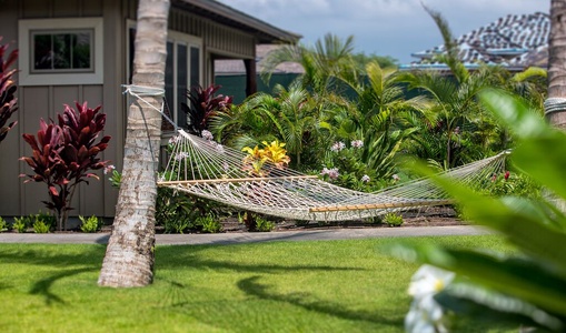 Kekokua Cottage shared garden.