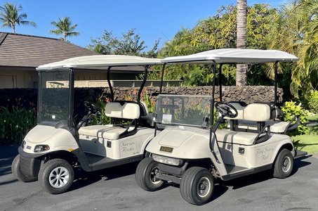 This rental comes with TWO 4-seater golf carts!