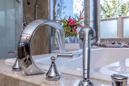 Soak in luxury with this elegant bathtub featuring premium chrome fixtures and tropical flowers, creating your perfect spa-like retreat.