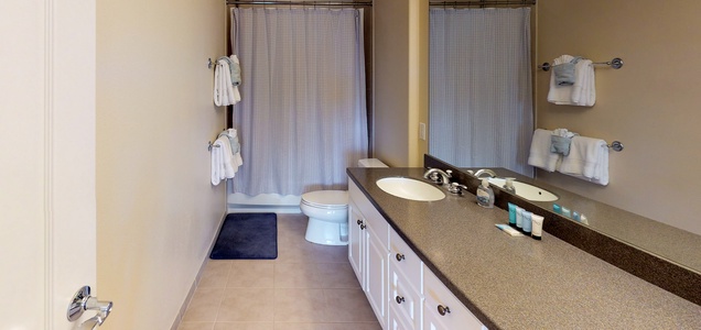 The primary guest bathroom with a large vanity and shower.
