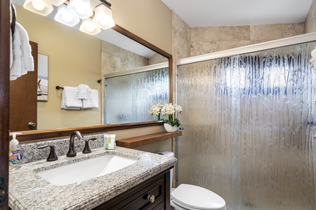 Guest bathroom down the hall from the bedroom