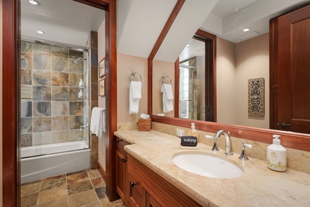 The lower level guest bathroom has a single vanity and shower and tub combo.