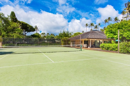 Private tennis court surrounded by tropical palms