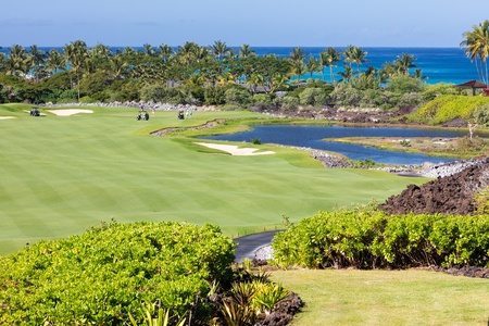 Scenic view of the pristine golf course and surrounding tropical paradise.