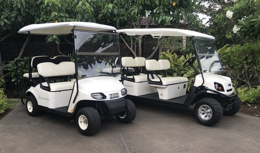 2 golf carts, one 4-seater and one 6-seater, are included in your rental for cruising the dazzling resort grounds in style!