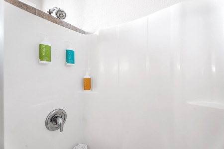 Walk-in shower with built-in shelving and spa-inspired details.