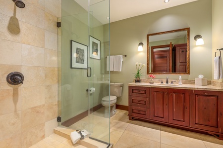 Spacious guest bathroom with walk-in shower and elegant finishes.