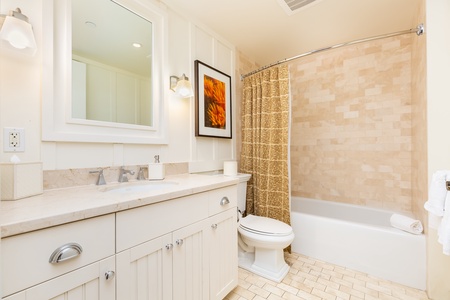 Guest bathroom with tub