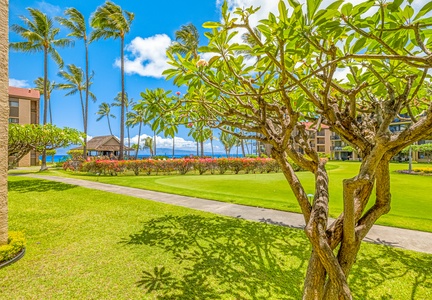 Lush tropical blooms surround the pool at Papakea K-105 with the ocean shimmering just beyond.