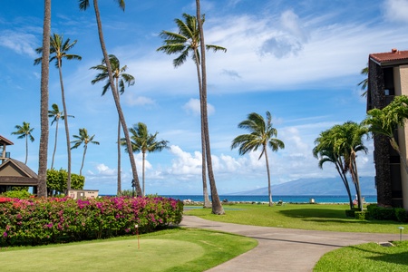 From Papakea B-105, stroll a palm-lined path straight to Maui’s golden beach and ocean.