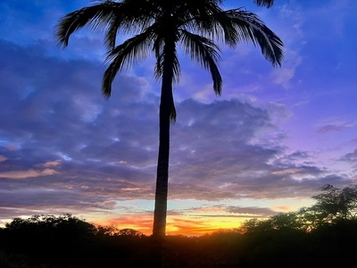 Breathtaking sunset with vibrant hues and silhouetted palm views from the balcony—perfect for unwinding and taking in the beauty of paradise.