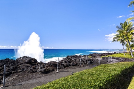 Watch ocean spray dance along the lava rock coastline—a stunning natural show.