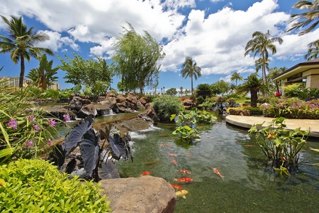 Colorful koi glide through serene waters surrounded by vibrant island greenery.