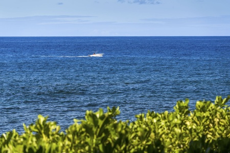 Stunning ocean expanse with a distant boat crossing the horizon, framed by lush coastal vegetation.