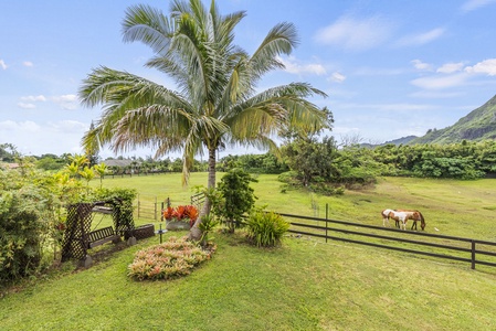 Explore the natural beauty surrounding the home, offering a true Hawaiian countryside escape.