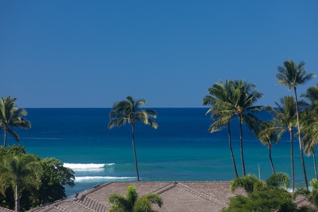 Gaze out at sweeping blue horizons and swaying palms just beyond your villa.