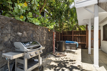 Propane BBQ.