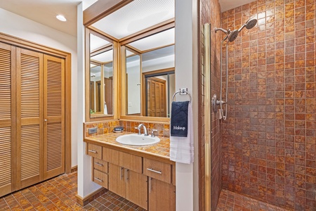 This stylish bathroom features a spacious walk-in shower and a well-lit vanity area