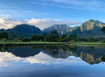 Stunning view of lush greenery and a tranquil water scene.