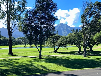 Mountain views and the tropical island setting is perfection!