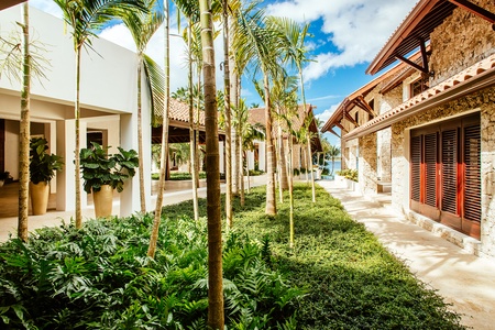 A serene walkway lined with lush greenery and tall palm trees.