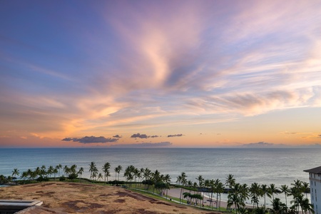 The beach and palm trees lining the resort.