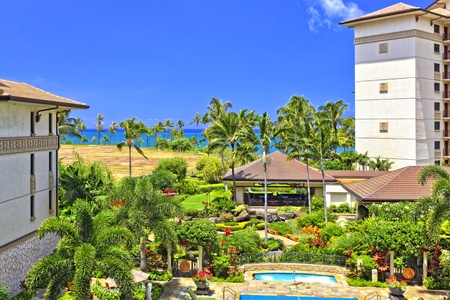 View of the pool area with palm trees and lush greenery.