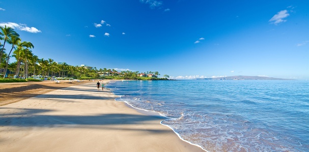 Nearby World Famous Wailea Beach Just minutes down the Wailea Beach Walking Path.