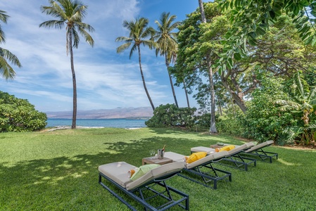 Lounge in the shade or sun on the large grassy lawn