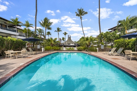 Take a refreshing dip in the fresh water pool surrounded by tropical palms at Casa De Emdeko.