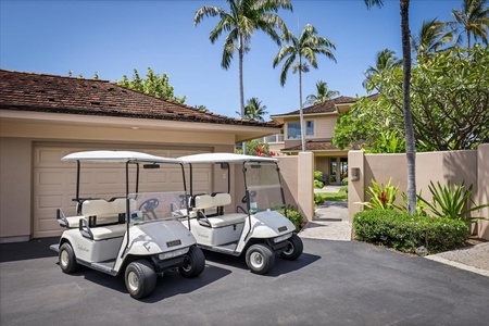 Two four seater golf carts for cruising the dazzling resort grounds in style.